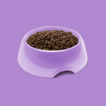 Symply 2kg Fresh Turkey Adult Small Breeds Dry Dog Food