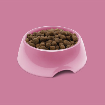 Symply 12kg Adult Fresh Turkey Dry Dog Food