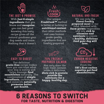 Harringtons 380g x 6 Just 6 Salmon Grain Free Wet Dog Food