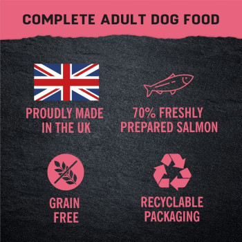 Harringtons 380g x 6 Just 6 Salmon Grain Free Wet Dog Food