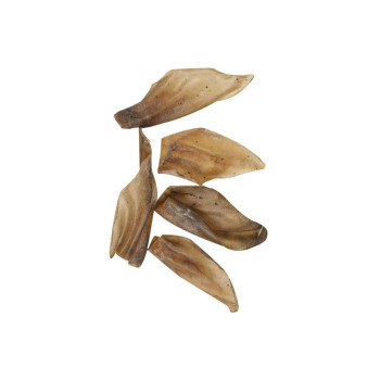 Flamingo Buffalo Ears 5 pieces, 60 g, Natural color