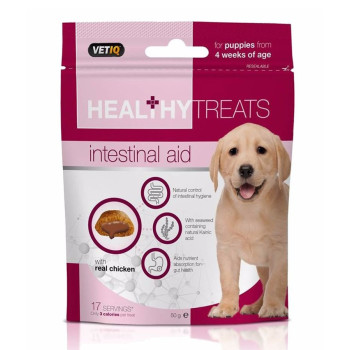 Healthy Treats Intestinal Aid for Puppies, 50 g