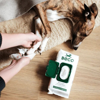 Beco Bamboo Coconut Scented Dog Wipes, White
