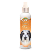 Bio Groom Groom N Fresh Cologne, 80z