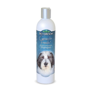 Bio Groom Groom 'N Fresh Shampoo