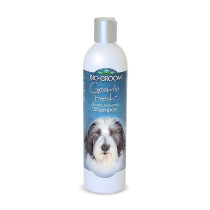 Bio Groom Groom 'N Fresh Shampoo