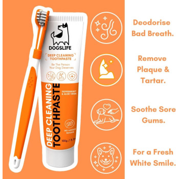 DogsLife Dog Dental Care Kit, Orange White