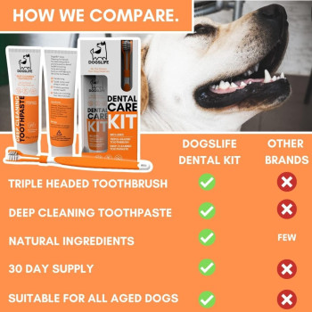 DogsLife Dog Dental Care Kit, Orange White