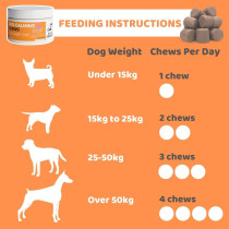 DogsLife Calming Dog Chews 60 Tablets, Brown