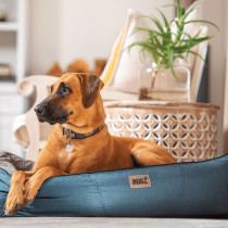 Rogz Indoor Cushioned Bed, Small, Petrol
