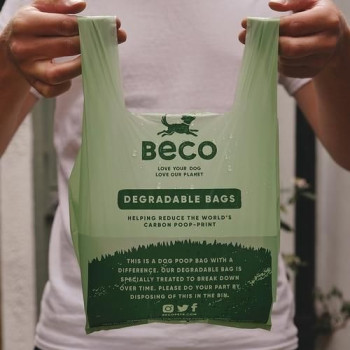 Beco Bags with Handle 120pcs, 120pcs, Green