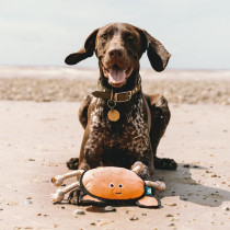 Beco Dual Material Crab, Large, Orange