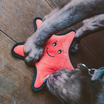 Beco Recycled Rough and Tough Star Fish, Medium, Orange