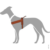 Hunter Meldal Dog Harness, xx-Large, Orenge