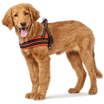 Hunter Meldal Dog Harness, xx-Large, Orenge