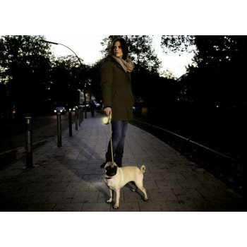 Flexi New Neon Tape Retractable Dog Leash, M5M, Green