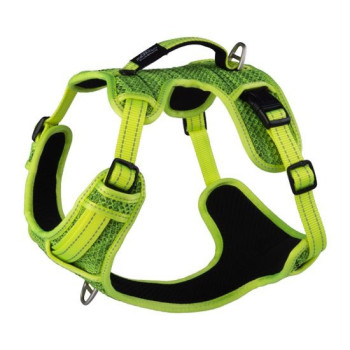 Rogz Explore Harness, Small, Dayglo floral