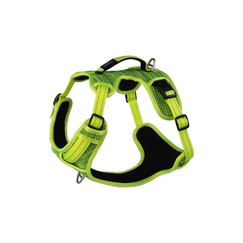 Rogz Explore Harness, Small, Dayglo floral
