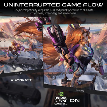 GameOn GOE24FHD165 24 Inch FHD, 165Hz, 1Ms (1920X1080) Flat IPS Gaming Monitor With Gsync & Free Sync - Black, Display Port, HDMI