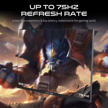 GameOn GOB24FHD75IPS 24 Inch FHD, 75Hz, 4ms, Flat IPS Gaming Monitor