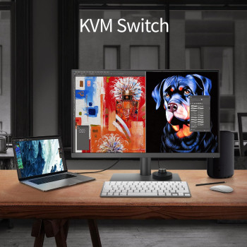 BenQ PD3205U 32 Inch 3840 x 2160 4K Designer Monitor, UHD, SRGB, Rec.709, SRGB, Hdr10, IPS, USB-C (65W), USB Hub, Aqcolor, Factory-Calibrated, Cad/Cam Mode, Hotkey Puck G2, KVM, Ergonmic, ICC Sync (Grey)