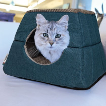 Rogz Oslo Igloo Pod Bed, medium, Petrol