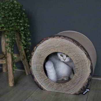 District 70 Trunk Cardboard Cat Scratcher