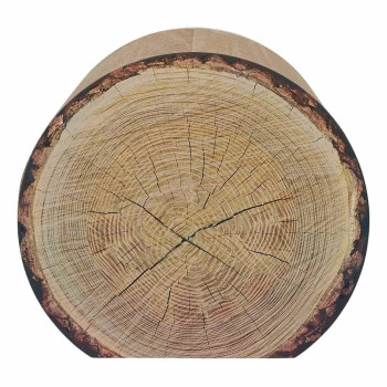 District 70 Trunk Cardboard Cat Scratcher