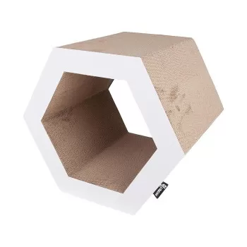 District 70 Hexa Cardboard...