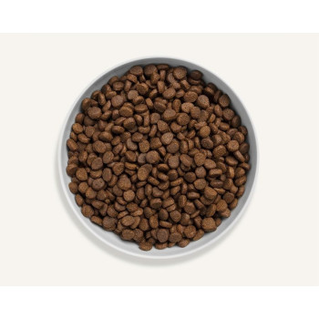 Canagan 4kg Dental Free Run Turkey Dry Cat Food