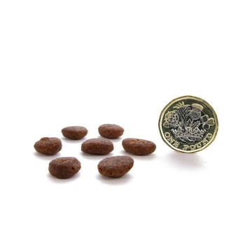 Canagan 4Kg Free Range Chicken Grain-Free Dry Cat Food, Brown