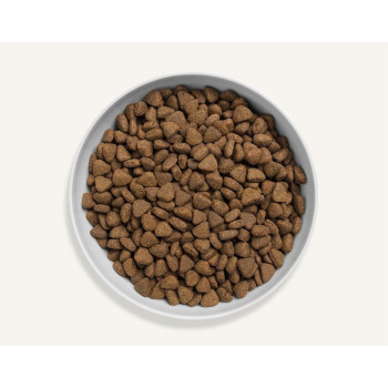 Canagan 4Kg Country Game For Cats Dry Food, Brown