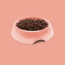 Symply 4Kg Cat Dry Food With Salmon All Life Stages, Brown