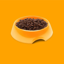 Symply 1.5Kg Cat Dry Food With Chicken All Life Stages, Brown