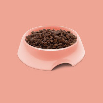 Symply 1.5Kg Cat Dry Food With Salmon All Life Stages, Brown