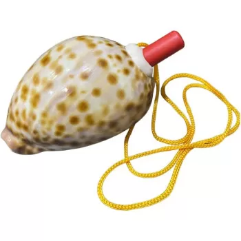 Natural Conch Shell Whistle