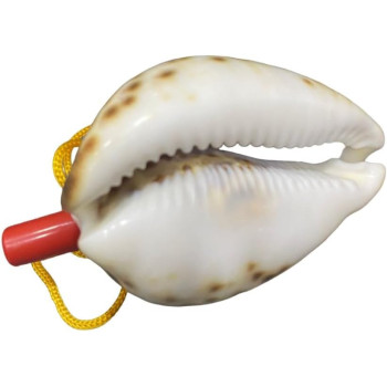 Natural Conch Shell Whistle