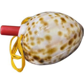 Natural Conch Shell Whistle