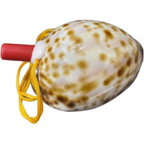 Natural Conch Shell Whistle