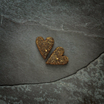 Canagan 200g x 4pcs Softies Grain Free Chicken Dog Treats