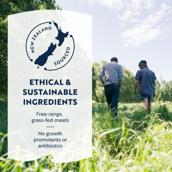 ZiwiPeak 72g Beef Weasand Dog Treats