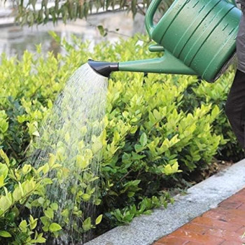 Abbasali Watering Cane For Gardening 10 Ltr, Green