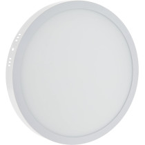 Round Surface LED Ceiling Panel Light 30W, 10 Inch, White