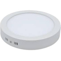 Abbasali Round Surface LED Ceiling Panel Light 30W, 10 Inch, WARMWHITE