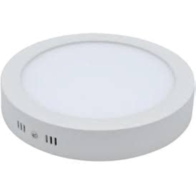 Abbasali Round Surface LED Ceiling Panel Light 30W, 10 Inch, WARMWHITE