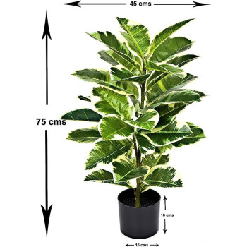 DEEP SLEEP EVERY NIGHT GreenBrokers Artificial Real Touch Rubber Plant in Pot