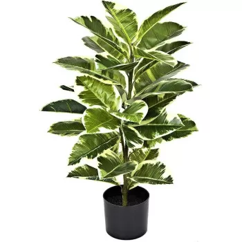 DEEP SLEEP EVERY NIGHT...