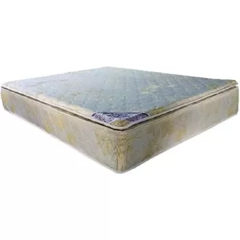 Deep Sleep Pillow Top...