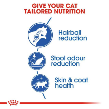 Royal Canin Feline Health Nutrition Indoor 10 Kg