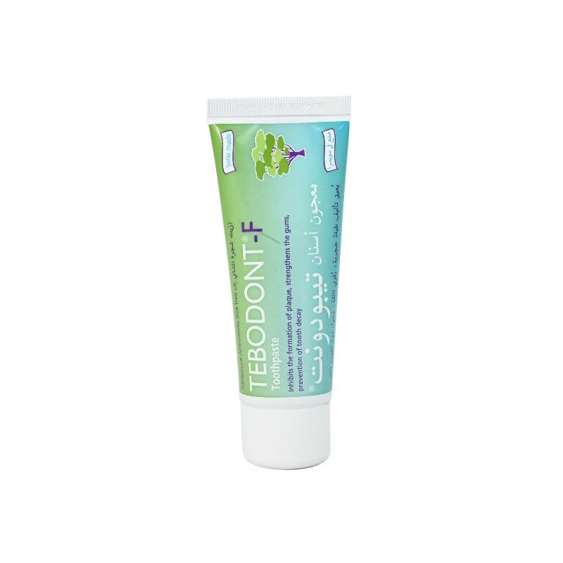 Tebodont Tooth Paste 75Ml